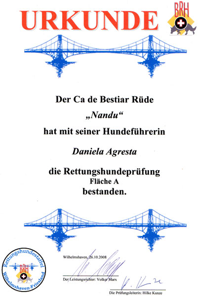 Fläche A